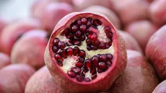 Rodie în fiecare zi: beneficii sau riscuri ascunse? Să analizăm obiectiv